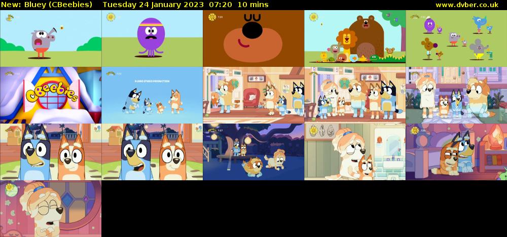 Bluey CBeebies 2023 01 24 0720