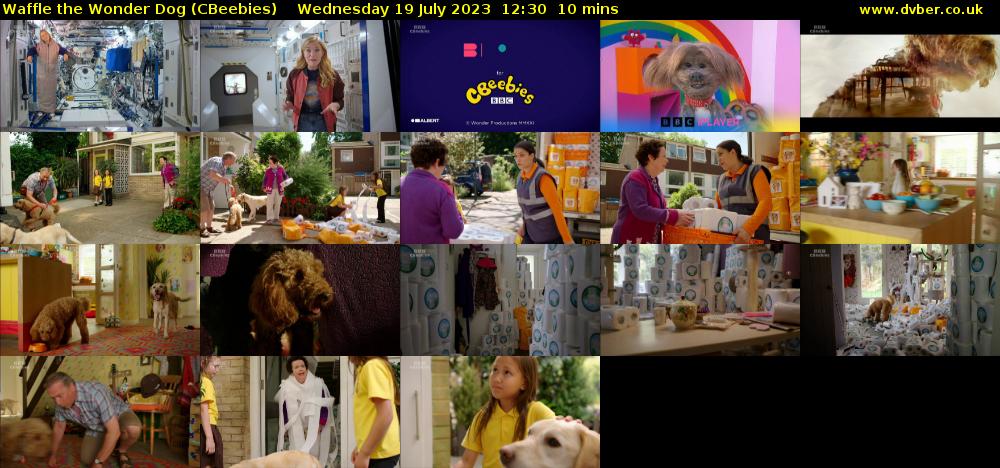 Waffle The Wonder Dog (cbeebies) - 2023-07-19-1230