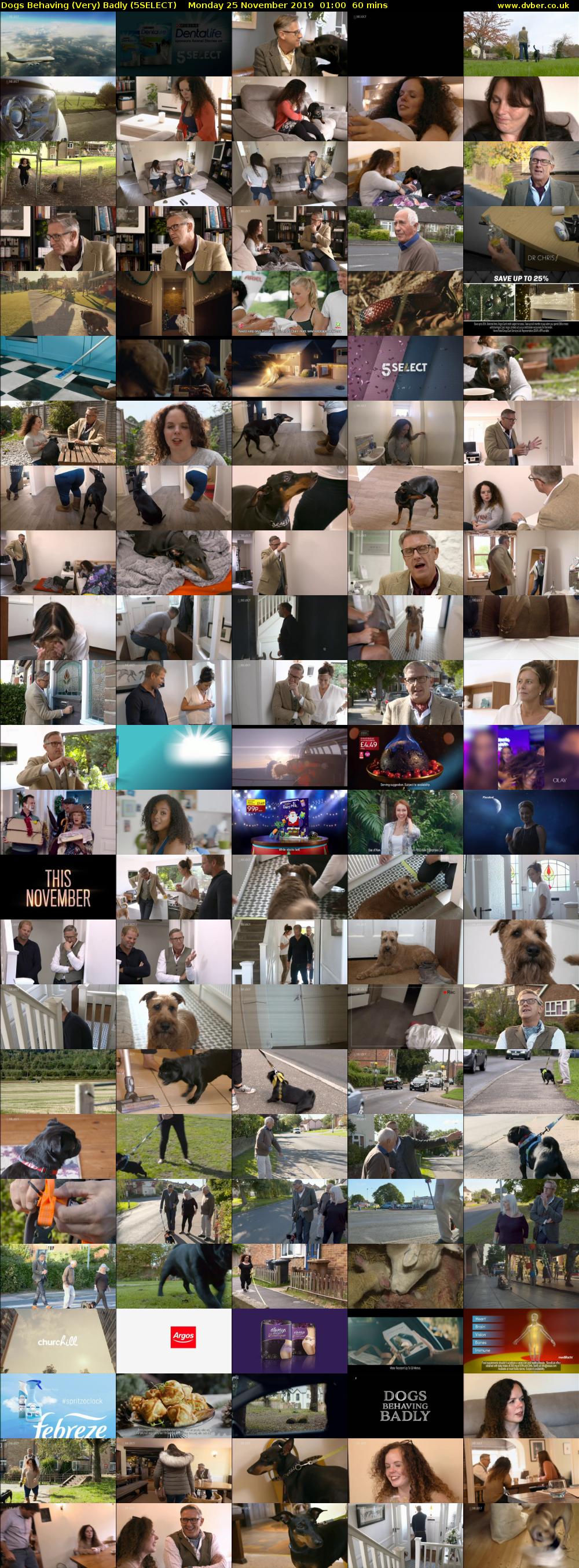 Dogs Behaving (Very) Badly (5SELECT) Monday 25 November 2019 01:00 - 02:00