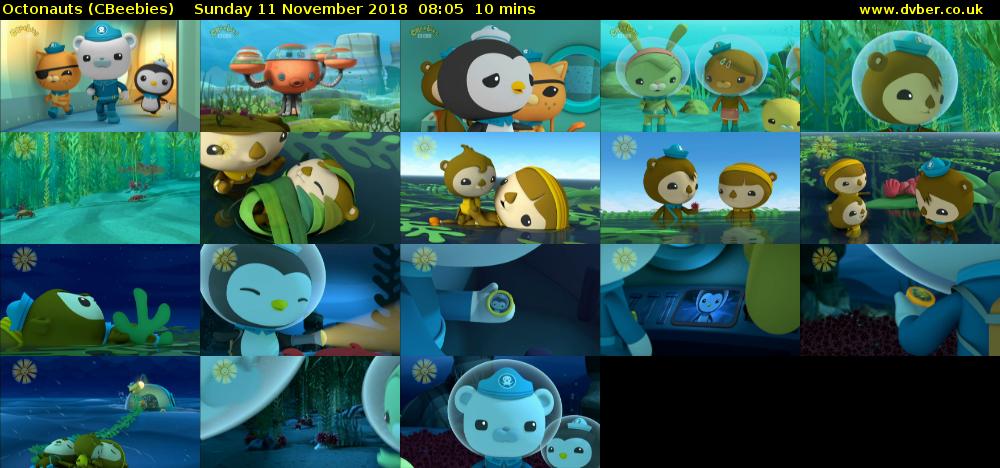 Octonauts (CBeebies) - 2018-11-11-0805