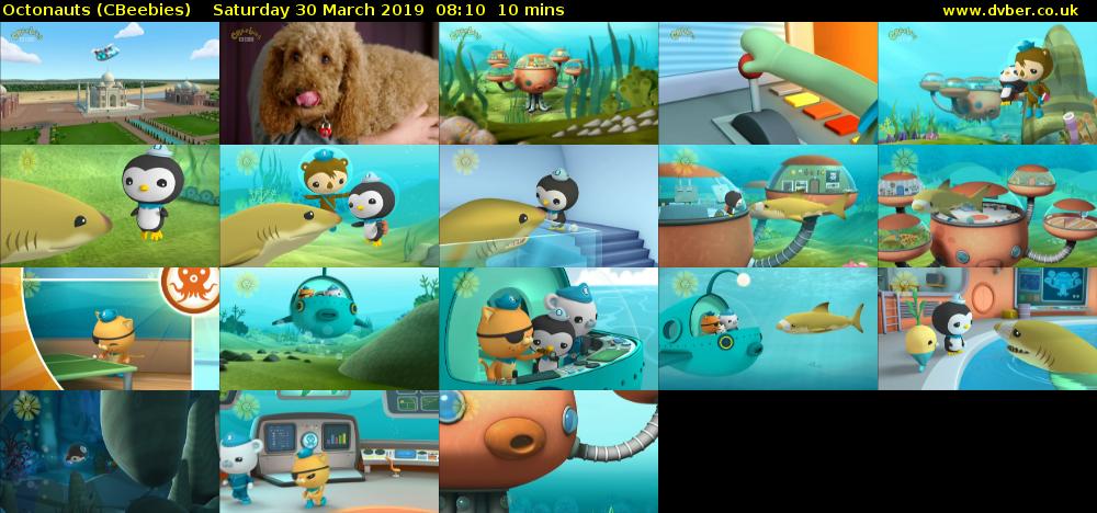 Octonauts (CBeebies) - 2019-03-30-0810