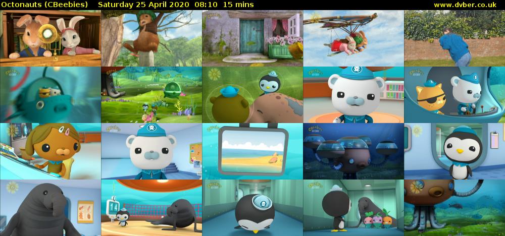 Octonauts (CBeebies) - 2020-04-25-0810