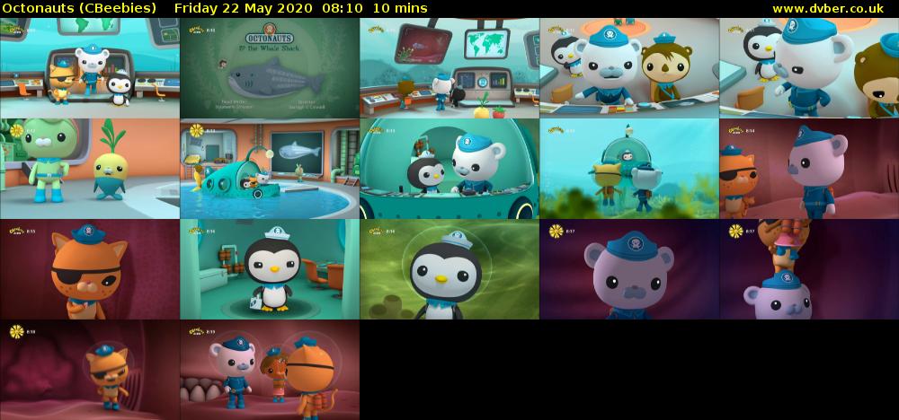 Octonauts (CBeebies) - 2020-05-22-0810