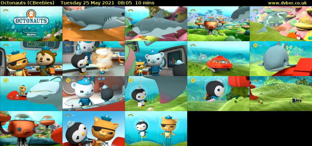 Octonauts (CBeebies) - 2021-05-25-0805