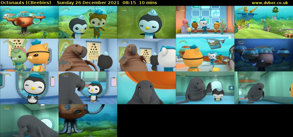 Octonauts (CBeebies) - 2021-12-26-0815