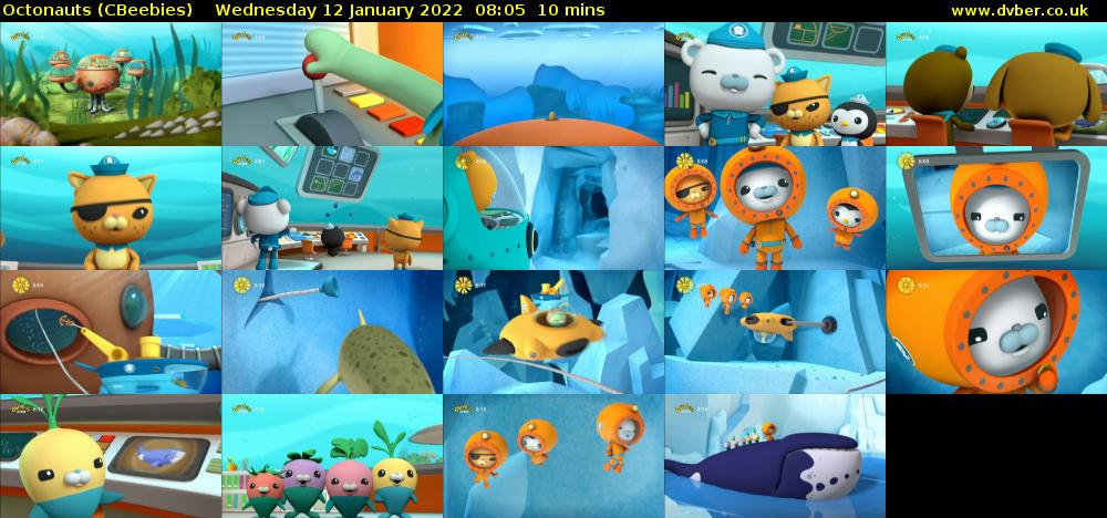 Octonauts (CBeebies) - 2022-01-12-0805