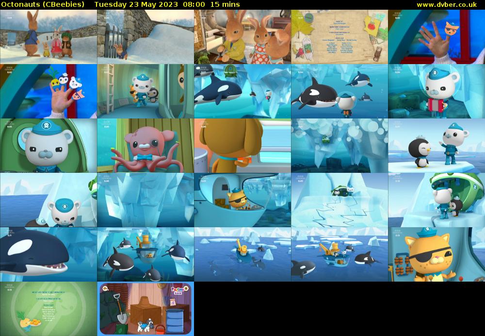 Octonauts (CBeebies) - 2023-05-23-0800