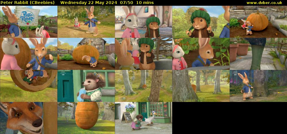Peter Rabbit (CBeebies) Wednesday 22 May 2024 07:50 - 08:00