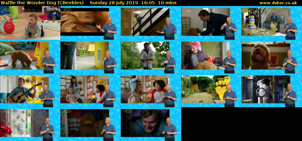 Waffle the Wonder Dog (CBeebies) - 2019-07-28-1605