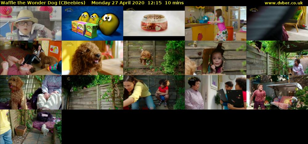 Waffle the Wonder Dog (CBeebies) - 2020-04-27-1215