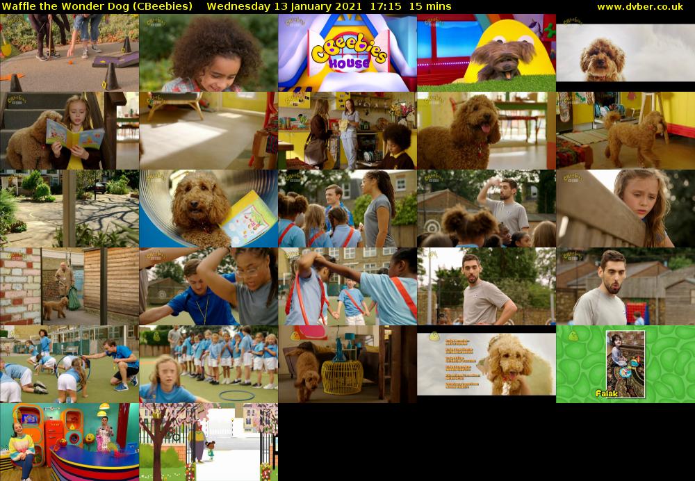 Waffle the Wonder Dog (CBeebies) - 2021-01-13-1715