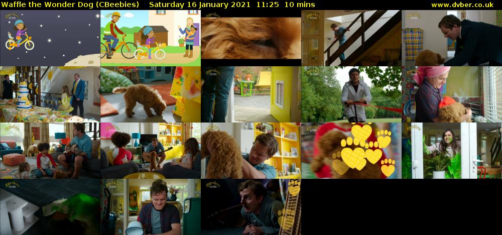 Waffle the Wonder Dog (CBeebies) - 2021-01-16-1125