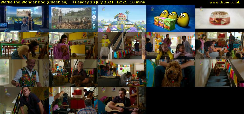 Waffle the Wonder Dog (CBeebies) - 2021-07-20-1225