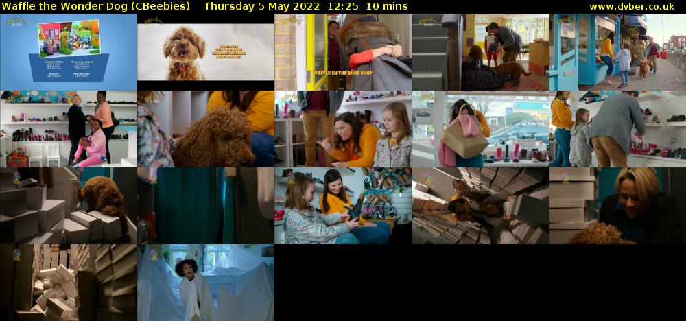 Waffle the Wonder Dog (CBeebies) - 2022-05-05-1225