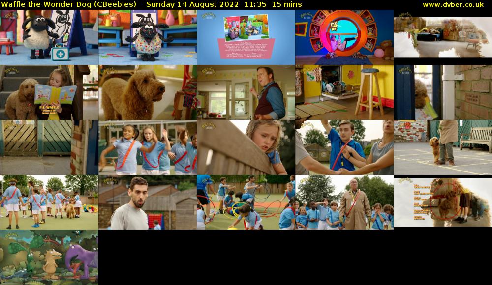 Waffle the Wonder Dog (CBeebies) - 2022-08-14-1135