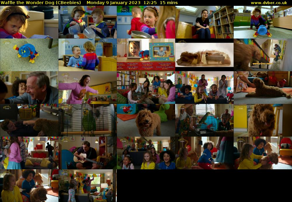 Waffle the Wonder Dog (CBeebies) - 2023-01-09-1225