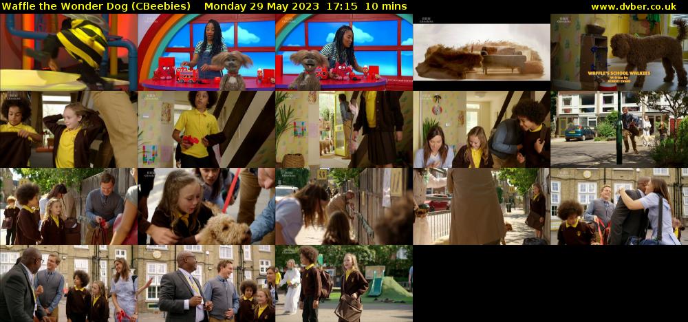 Waffle the Wonder Dog (CBeebies) - 2023-05-29-1715