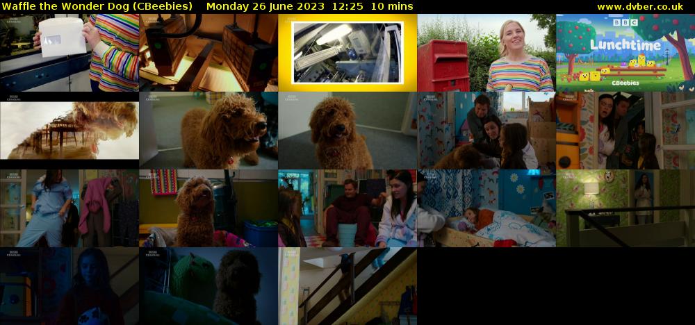 Waffle the Wonder Dog (CBeebies) - 2023-06-26-1225