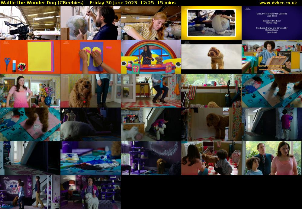 Waffle the Wonder Dog (CBeebies) - 2023-06-30-1225