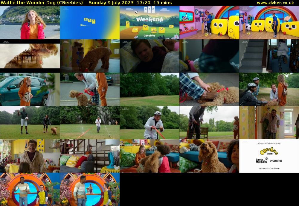 Waffle the Wonder Dog (CBeebies) - 2023-07-09-1720