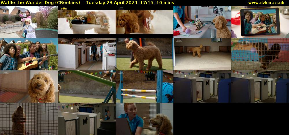 Waffle the Wonder Dog (CBeebies) Tuesday 23 April 2024 17:15 - 17:25