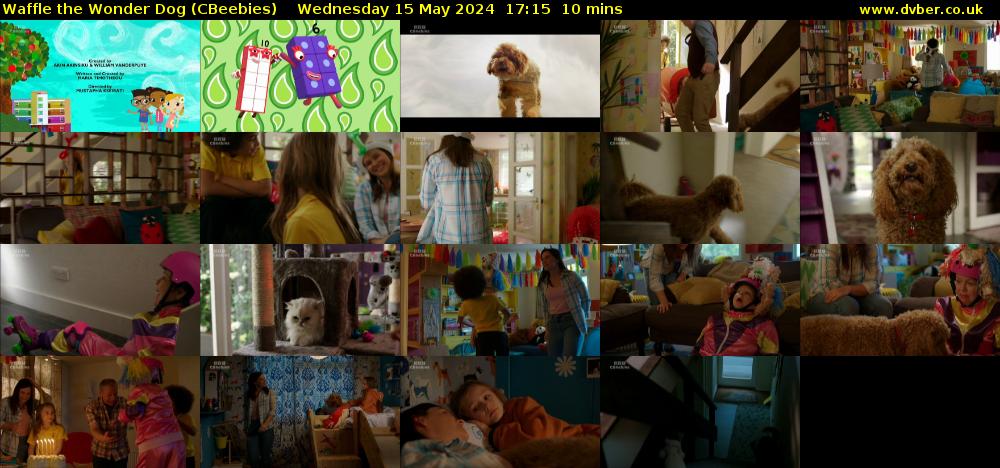 Waffle the Wonder Dog (CBeebies) Wednesday 15 May 2024 17:15 - 17:25
